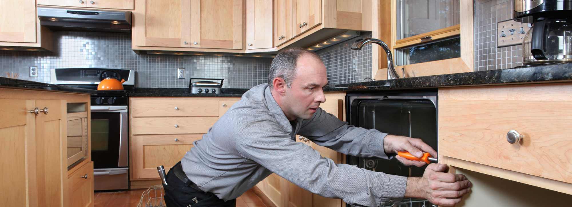 Home Efficiency Inspection